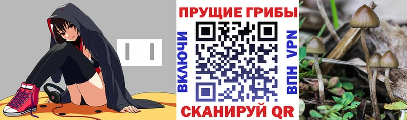 Купить где Тобольск Галлюциногенные грибы мухоморы